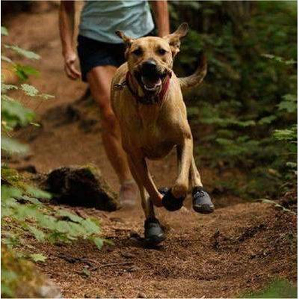 Hiking Wear-Resistant Dog Boots