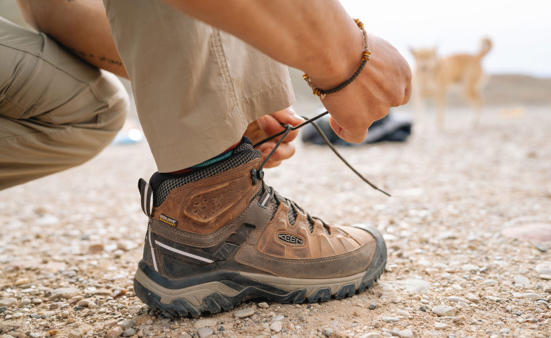 Men's Targhee III Waterproof Mid Wide  |  Black Olive/Golden Brown