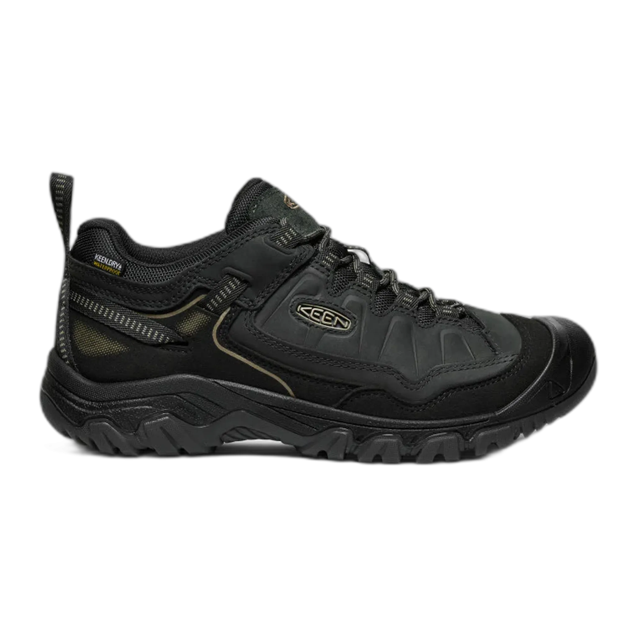 Men's Targhee IV Waterproof Hiking Shoe